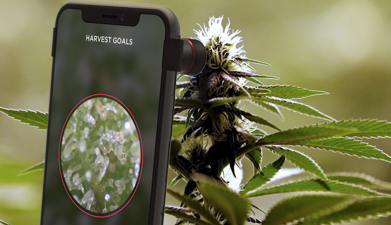 Best Smart Grow Apps for Growing Cannabis in 2019